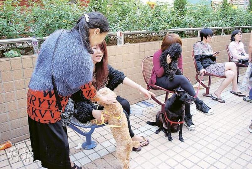 陳小姐(中間粉紅衣者)與友人合租花園道一個單位,並飼養了3頭愛犬,火警時兩歲狗女「妹妹」(繫紅色狗帶黑狗)狂吠,及時吵醒眾人逃生。(袁柏恩攝) 陳小姐(中間粉紅衣者)與友人合租花園道一個單位,並飼養了3頭愛犬,火警時兩歲狗女「妹妹」(繫紅色狗帶黑狗)狂吠,及時吵醒眾人逃生。(袁柏恩攝)