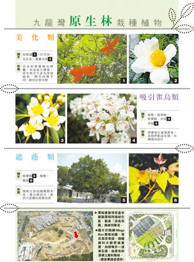 (明報製圖) (明報製圖)