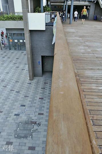 (林錫禮攝) (林錫禮攝)
