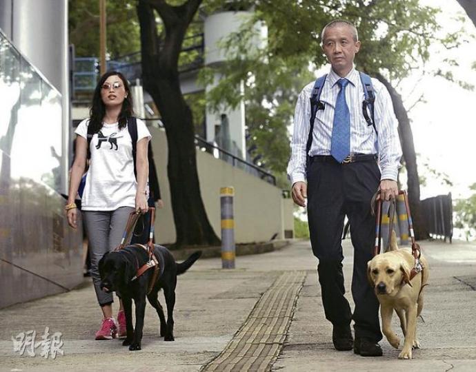 失明人士傅提芬(左)及曾建平(右)獲選到美國,尋找合適導盲犬Nana及Deanna作引領服務,令他們的生活更安心和方便。(余俊亮攝) 失明人士傅提芬(左)及曾建平(右)獲選到美國,尋找合適導盲犬Nana及Deanna作引領服務,令他們的生活更安心和方便。(余俊亮攝)