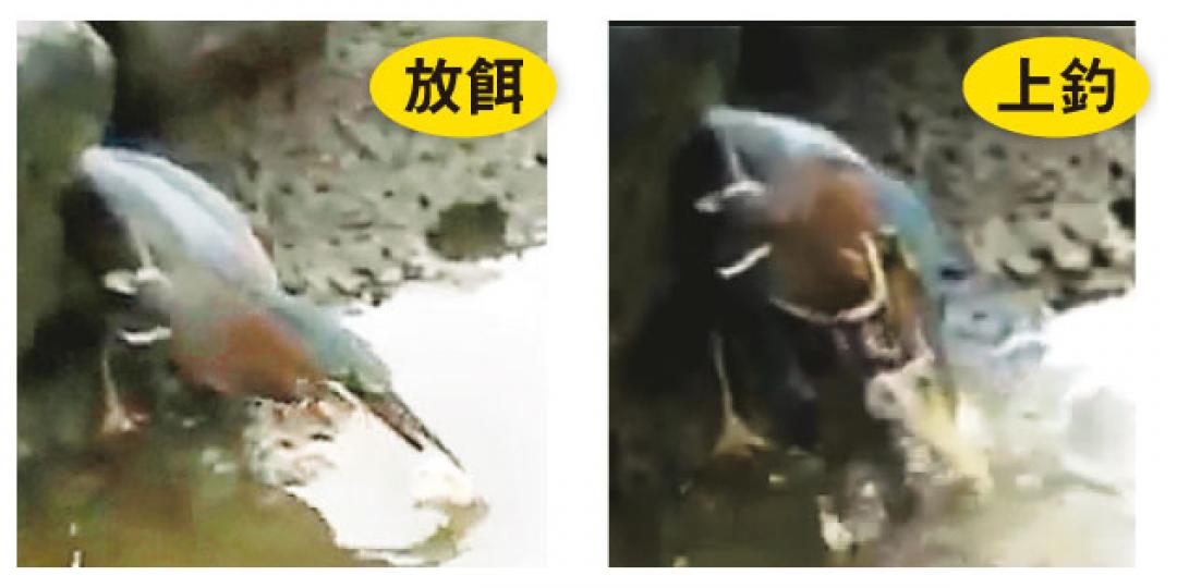 （明報製圖）