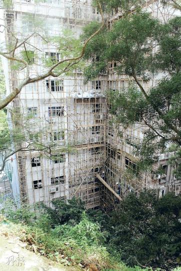 淺水灣麗景園兩單位連環爆竊，損失逾10萬元。警方消息不排除賊人從斜坡潛入屋苑，再由維修外牆的棚架（圖）爬到樓上單位潛入犯案。（楊嘉欣攝）