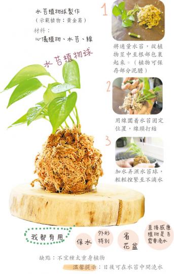 (明報製圖) (明報製圖)