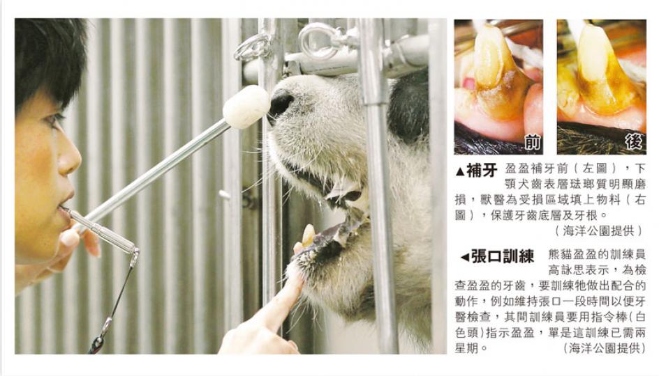 (明報製圖) (明報製圖)