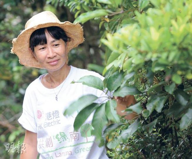 Sally(劉焌陶攝) Sally(劉焌陶攝)