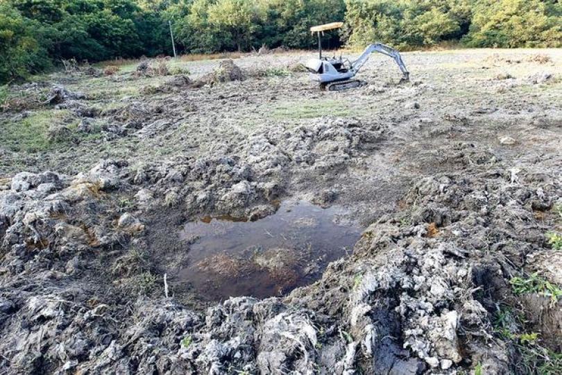 原本綠油油的淡水濕地變了遍地泥濘,水窪內仍有淡水魚垂死掙扎。(李紹昌攝) 原本綠油油的淡水濕地變了遍地泥濘,水窪內仍有淡水魚垂死掙扎。(李紹昌攝)