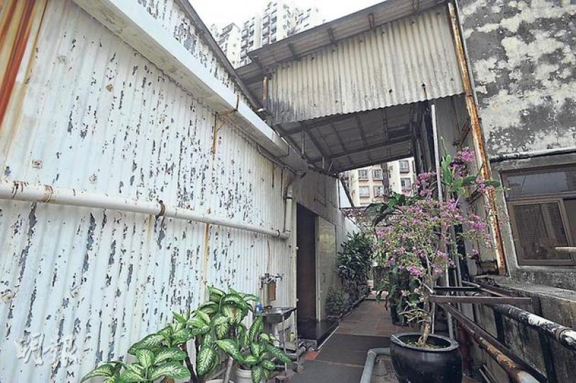 祥興工業大廈天台被發現僭建成辦公室,面積幾乎佔盡全層,而室外亦種植不少植物。(葉家豪攝) 祥興工業大廈天台被發現僭建成辦公室,面積幾乎佔盡全層,而室外亦種植不少植物。(葉家豪攝)