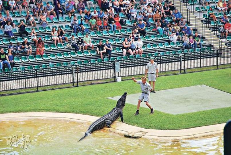 設有5000座位的Crocoseum,經過特別設計,鱷魚能從水缸潛游出來。(黃潔玲攝)鱷魚先生一家在營運澳洲動物園上花上不少心血,園內豎立了鱷魚先生一家四口的銅像。(黃潔玲攝)新增的非洲園區內飼養了犀牛和斑馬,據講動物還會陸續增加。(黃潔玲攝)工作人員展示園內代表性的四種澳洲野生動物,左起﹕黑鳳頭鸚鵡(Black Cockatoo)、袋熊(Wombat)、黑頭蟒蛇和樹熊。(黃潔玲攝)樹熊是澳洲的代表動物,參觀者不單能觀賞牠們,還有機會抱抱樹熊拍照(每次40澳元,約321港元,最多4人合照)。(黃 設有5000座位的Crocoseum,經過特別設計,鱷魚能從水缸潛游出來。(黃潔玲攝)鱷魚先生一家在營運澳洲動物園上花上不少心血,園內豎立了鱷魚先生一家四口的銅像。(黃潔玲攝)新增的非洲園區內飼養了犀牛和斑馬,據講動物還會陸續增加。(黃潔玲攝)工作人員展示園內代表性的四種澳洲野生動物,左起﹕黑鳳頭鸚鵡(Black Cockatoo)、袋熊(Wombat)、黑頭蟒蛇和樹熊。(黃潔玲攝)樹熊是澳洲的代表動物,參觀者不單能觀賞牠們,還有機會抱抱樹熊拍照(每次40澳元,約321港元,最多4人合照)。(黃
