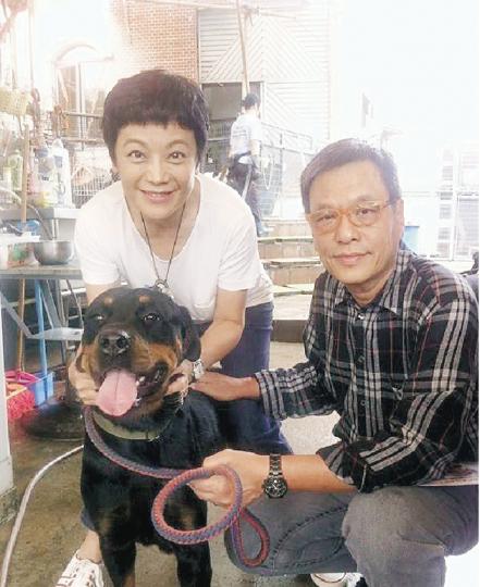 張艾嘉與丈夫王靖雄領養了洛威拿,在HKDR的專頁能看到「一家人」合照。(微博圖片)愛心爆棚的宣萱除了領養狗狗之外,最近更收養了小花貓Cookie。(微博圖片)張繼聰領養的唐狗非常可愛,兒子張瞻更為牠試睡狗屋。(微博圖片)何韻詩一向是愛貓之人,她最近領養了黑白小花貓,名字叫「阿Lam」。(微博圖片)黃日華與太太梁潔華領養了八哥Tubby(左)及古代牧養犬Boomer(右),不用工作時,他最愛去放狗輕鬆一下。(微博圖片)平時甚cool的林憶蓮不時帶唐狗女Dizzy去遊船河,而且笑笑口,與工作時簡直判 張艾嘉與丈夫王靖雄領養了洛威拿,在HKDR的專頁能看到「一家人」合照。(微博圖片)愛心爆棚的宣萱除了領養狗狗之外,最近更收養了小花貓Cookie。(微博圖片)張繼聰領養的唐狗非常可愛,兒子張瞻更為牠試睡狗屋。(微博圖片)何韻詩一向是愛貓之人,她最近領養了黑白小花貓,名字叫「阿Lam」。(微博圖片)黃日華與太太梁潔華領養了八哥Tubby(左)及古代牧養犬Boomer(右),不用工作時,他最愛去放狗輕鬆一下。(微博圖片)平時甚cool的林憶蓮不時帶唐狗女Dizzy去遊船河,而且笑笑口,與工作時簡直判