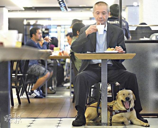 大家樂集團首席執行官羅開光認為,導盲犬受嚴格訓練,會在使用者就座躲藏起來(見圖),不會影響旁人。圖為香港導盲犬協會副主席曾建平及其導盲犬Deanna。(余俊亮攝)連鎖快餐集團大家樂宣布,旗下全線11個品牌共241間分店,歡迎視障人士攜帶導盲犬入內進餐,並已於入口貼上歡迎導盲犬標誌及給員工相關培訓。(余俊亮攝) 大家樂集團首席執行官羅開光認為,導盲犬受嚴格訓練,會在使用者就座躲藏起來(見圖),不會影響旁人。圖為香港導盲犬協會副主席曾建平及其導盲犬Deanna。(余俊亮攝)連鎖快餐集團大家樂宣布,旗下全線11個品牌共241間分店,歡迎視障人士攜帶導盲犬入內進餐,並已於入口貼上歡迎導盲犬標誌及給員工相關培訓。(余俊亮攝)