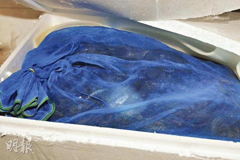 警方反走私行動中檢獲約1600條水律蛇及眼鏡蛇,但漁護署料全部蛇最終要人道毁滅。(蔡方山攝)走私客為逃避警員追捕,在大嶼山白芒牛牯塱村岸邊遺下逾百箱活蛇,連同數箱穿山甲麟片,估計總值78萬元。(蔡方山攝) 警方反走私行動中檢獲約1600條水律蛇及眼鏡蛇,但漁護署料全部蛇最終要人道毁滅。(蔡方山攝)走私客為逃避警員追捕,在大嶼山白芒牛牯塱村岸邊遺下逾百箱活蛇,連同數箱穿山甲麟片,估計總值78萬元。(蔡方山攝)