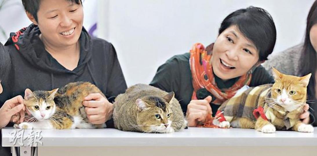 公民黨毛孟靜(右)噚日聯同愛護動物組織同一眾貓咪呼籲設立動物警察,包括愛護動物組織「貓朋狗友」幹事陳慧敏(左)。(余俊亮攝) 公民黨毛孟靜(右)噚日聯同愛護動物組織同一眾貓咪呼籲設立動物警察,包括愛護動物組織「貓朋狗友」幹事陳慧敏(左)。(余俊亮攝)