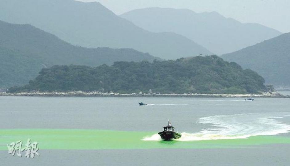 渠務署在西貢污水廠檢測,水流30分鐘後流入污水廠對開440米海面,該處出現大片熒光色,意味排放管無損毁。(盧翊銘攝) 渠務署在西貢污水廠檢測,水流30分鐘後流入污水廠對開440米海面,該處出現大片熒光色,意味排放管無損毁。(盧翊銘攝)