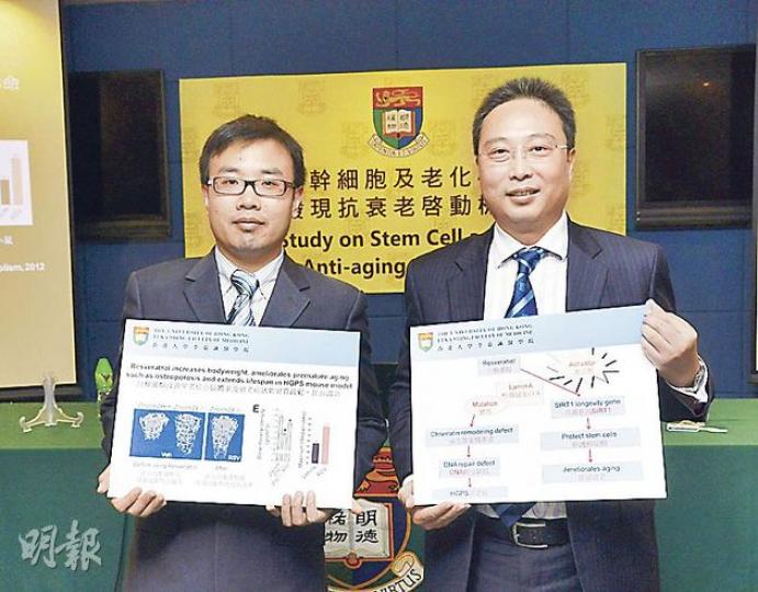 港大醫學院研究證實葡萄皮層及紅酒中的「白藜蘆醇」有助延緩衰老,但領導研究的生物化學系副教授周中軍博士(右)及助理教授劉寶華博士異口同聲說,吃葡萄皮及飲紅酒療效並不顯著。(陳淑安攝)(明報製圖) 港大醫學院研究證實葡萄皮層及紅酒中的「白藜蘆醇」有助延緩衰老,但領導研究的生物化學系副教授周中軍博士(右)及助理教授劉寶華博士異口同聲說,吃葡萄皮及飲紅酒療效並不顯著。(陳淑安攝)(明報製圖)