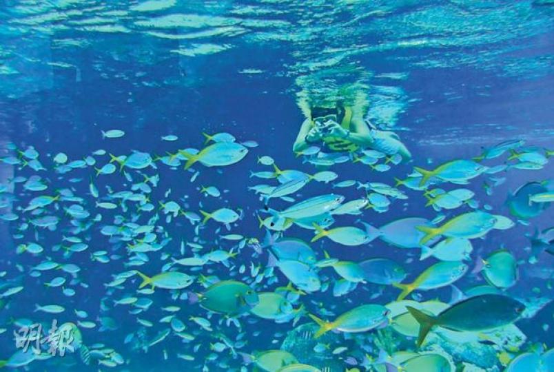 水上探險樂園的「彩虹礁游」,讓你跟2萬條魚兒一起潛泳。(郭瑋瑋攝)站到小丑魚水缸前,遊人都禁不住大叫Nemo。(郭瑋瑋攝)水族館熱帶魚水缸的照明充足,不難拍到理想的照片。(郭瑋瑋攝)「衝浪灣」每15分鐘,便會掀起2.2米高巨浪。(郭瑋瑋攝)觸摸池讓訪客親手摸摸海星、海參等生物。(郭瑋瑋攝)展示安達曼海生物的水缸,珊瑚色彩絢爛。(郭瑋瑋攝)「深海奧秘」的觀景窗面積為36×8.3米,堪稱全球最大。(郭瑋瑋攝)逸濠酒店全新Ocean Suites睡房的窗戶,都是「深海奧秘」水族館的觀景窗。(郭瑋瑋攝) 水上探險樂園的「彩虹礁游」,讓你跟2萬條魚兒一起潛泳。(郭瑋瑋攝)站到小丑魚水缸前,遊人都禁不住大叫Nemo。(郭瑋瑋攝)水族館熱帶魚水缸的照明充足,不難拍到理想的照片。(郭瑋瑋攝)「衝浪灣」每15分鐘,便會掀起2.2米高巨浪。(郭瑋瑋攝)觸摸池讓訪客親手摸摸海星、海參等生物。(郭瑋瑋攝)展示安達曼海生物的水缸,珊瑚色彩絢爛。(郭瑋瑋攝)「深海奧秘」的觀景窗面積為36×8.3米,堪稱全球最大。(郭瑋瑋攝)逸濠酒店全新Ocean Suites睡房的窗戶,都是「深海奧秘」水族館的觀景窗。(郭瑋瑋攝)