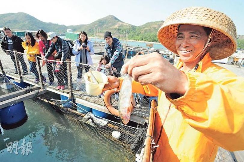 「明哥」鄭華明(右)每次示範餵龍躉,都會吸引旅客駐足觀看及拍照,其間他會分享以往捕魚的經歷,例如見過最大的龍躉、船上如何量度龍躉的重量等,提供通識課也沒有的知識。(尹錦恩攝) 「明哥」鄭華明(右)每次示範餵龍躉,都會吸引旅客駐足觀看及拍照,其間他會分享以往捕魚的經歷,例如見過最大的龍躉、船上如何量度龍躉的重量等,提供通識課也沒有的知識。(尹錦恩攝)