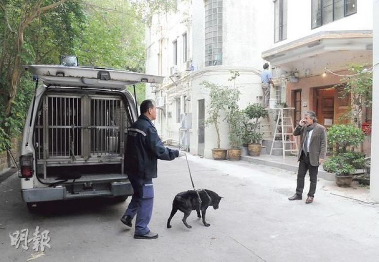 港島南灣道23號一幢價值逾3億的獨立屋單位遭人爆竊,損失約5萬元財物,警員接報帶同警犬到場協助調查,圖中外籍漢據報是男屋主。(蔡方山攝) 港島南灣道23號一幢價值逾3億的獨立屋單位遭人爆竊,損失約5萬元財物,警員接報帶同警犬到場協助調查,圖中外籍漢據報是男屋主。(蔡方山攝)