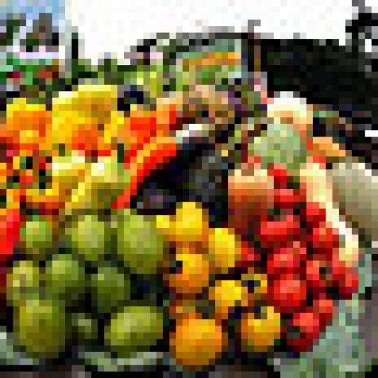 e40b74c05b8d5e271fa14fae04101014