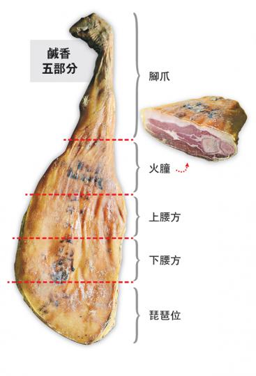 (陳淑安攝) (陳淑安攝)