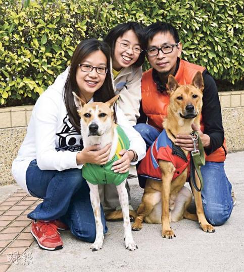 曾家領養了唐狗Congee(左啡白犬)和Noodle(右啡犬),子芹(圖中)與爸媽一起上訓犬課,並幫忙做家務,學做負責任的小主人。(陳淑安攝)很多人選擇飼養小型犬,誤以為大型犬、唐狗較兇惡,其實只要訓練得當,任何狗都可以很乖巧。圖為Congee遞手給小主人子芹。(陳淑安攝)(陳淑安攝) 曾家領養了唐狗Congee(左啡白犬)和Noodle(右啡犬),子芹(圖中)與爸媽一起上訓犬課,並幫忙做家務,學做負責任的小主人。(陳淑安攝)很多人選擇飼養小型犬,誤以為大型犬、唐狗較兇惡,其實只要訓練得當,任何狗都可以很乖巧。圖為Congee遞手給小主人子芹。(陳淑安攝)(陳淑安攝)