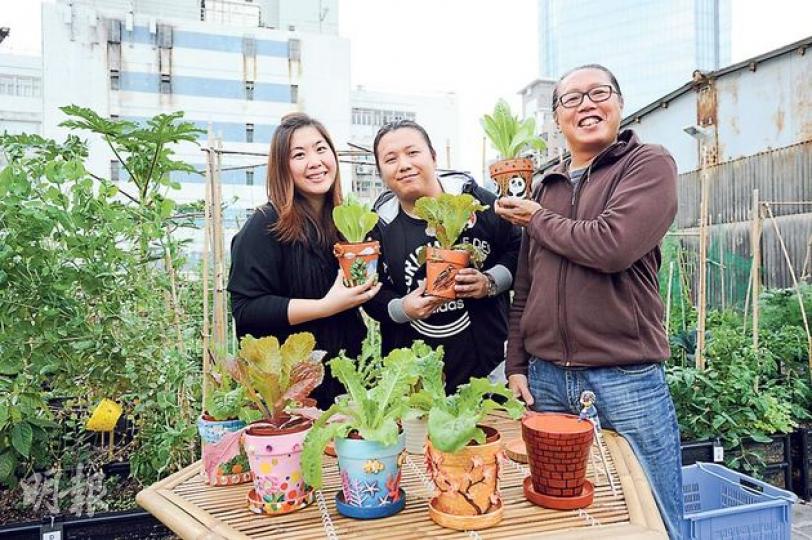 都市農莊創辦人林世昌（右）在聖誕期間，與同在農莊租田的葉鷺（左）和王良偉（中）洽談合作大計，結果一拍即合，在新年前舉辦3個有機種植年花設計工作坊。（葉思雅攝）原本啡紅的花盆，一經修飾便變得獨一無二，與綠油油的生菜相映成趣。都市農莊創辦人希望，將藝術融入有機耕作，可提高小朋友對耕種的興趣。（葉思雅攝）