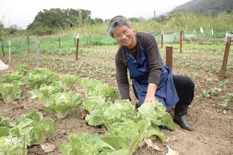 菜園村村民馮汝竹（阿竹）每日到田裏澆水、收割，事事親力親為，但慨嘆客人少，當豐收時便出現供過於求，政府亦無扶助本地農業，令他們難以營生。（楊德銘攝）