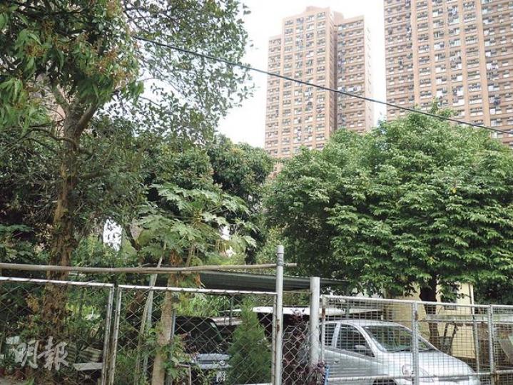 被告莫仲霆所住的兆康苑(橙色大廈),與事主飼養唐狗的家中後院(停車場部分)相距約140米,中間有叢林、輕鐵路軌、馬路、遊樂場阻隔。(何海棠攝) (明報製圖) 被告莫仲霆所住的兆康苑(橙色大廈),與事主飼養唐狗的家中後院(停車場部分)相距約140米,中間有叢林、輕鐵路軌、馬路、遊樂場阻隔。(何海棠攝) (明報製圖)