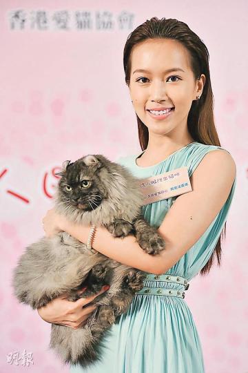 傅嘉莉帶埋愛貓BeBe出席活動,為兩對貓兒做證婚人。(微博圖片) 傅嘉莉帶埋愛貓BeBe出席活動,為兩對貓兒做證婚人。(微博圖片)