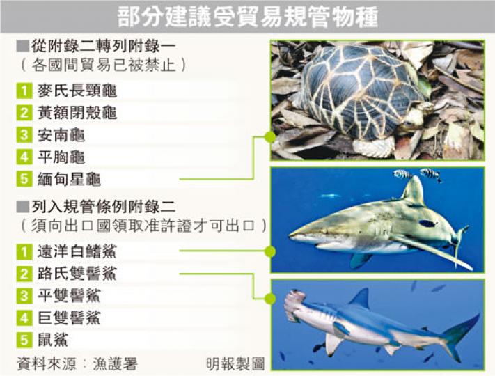 (明報製圖) (明報製圖)