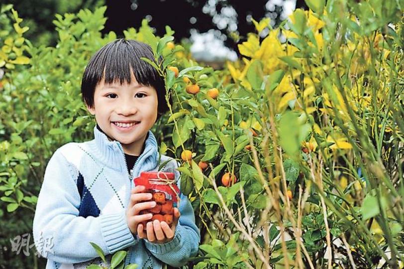 大埔環保會在2010年開始回收屋苑、商場的年桔,在鳳園內栽種,為蝴蝶提供良好的棲息地,更用果實來醃製鹹桔仔。(葉思雅攝)茶粿(葉思雅攝)香皂(葉思雅攝) 大埔環保會在2010年開始回收屋苑、商場的年桔,在鳳園內栽種,為蝴蝶提供良好的棲息地,更用果實來醃製鹹桔仔。(葉思雅攝)茶粿(葉思雅攝)香皂(葉思雅攝)