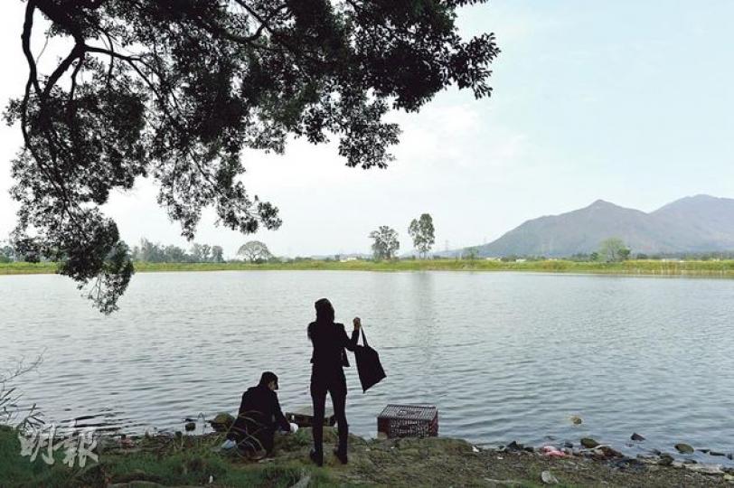 元朗山背村部分魚塘被填平，另一些則仍然被保留下來（圖），景色優美，仍有巿民到此處遊覽，欣賞南生圍景色。（鄧宗弘攝）