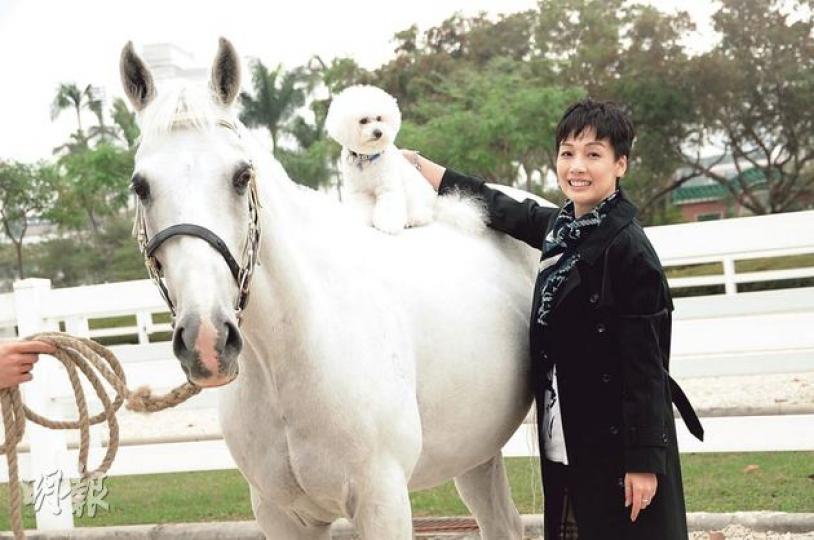 2歲半大的Teddy首次騎真馬,淡定地坐在20歲白色儀仗馬Jock背上,化身一老一嫩的精靈寶貝。(攝影:孫華中)江美儀為愛兒特別挑選醒目戰衣,又親自示範「執屎之手」,幽默的她自封為「狗奴才」。(攝影:孫華中) 2歲半大的Teddy首次騎真馬,淡定地坐在20歲白色儀仗馬Jock背上,化身一老一嫩的精靈寶貝。(攝影:孫華中)江美儀為愛兒特別挑選醒目戰衣,又親自示範「執屎之手」,幽默的她自封為「狗奴才」。(攝影:孫華中)