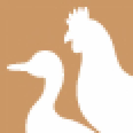 dd12b6a592aae3ca448bcbec44c34d98