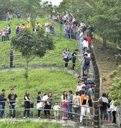 清明節掃墓高峰期已過，但市民昨日仍積極「登高」。青衣船廠附近山頭人頭湧湧，原來「登高者」為率先一睹Rubber Duck。Rubber Duck昨充滿氣後接受測試，為下周四（5月2日）正式展覽做好準備。（鄧宗弘攝）Rubber Duck昨在青衣船廠「休息」，昨日所見，巨鴨依然「精神飽滿」。（鄧宗弘攝）巨鴨魅力沒法擋，新人穿著禮服「攀山涉水」，把握機會與巨鴨合拍結婚照，留下美好回憶。（鄧宗弘攝）