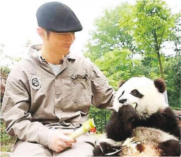 黃曉明表示看到熊貓便煩惱盡消。(微博圖片) 黃曉明表示看到熊貓便煩惱盡消。(微博圖片)