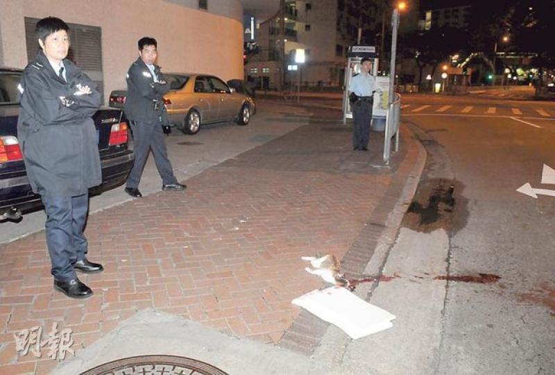 網台主持黃洋達與妻昨凌晨行經石硤尾棠蔭街時，發現有貓陳屍路邊，懷疑遭虐殺。（蔡方山攝）