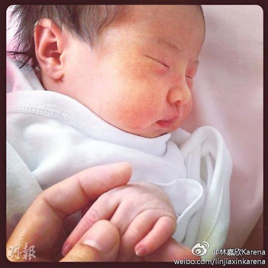 肥嘟嘟的Sofie在睡覺,非常可愛。(微博圖片) 肥嘟嘟的Sofie在睡覺,非常可愛。(微博圖片)