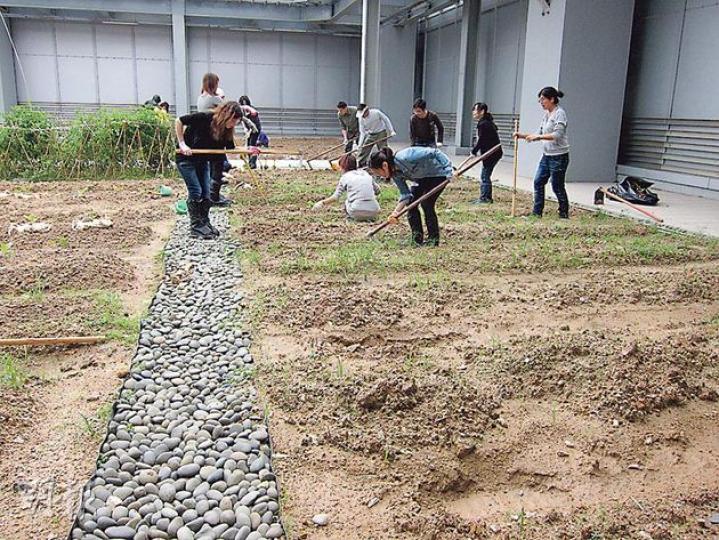 銅鑼灣希慎廣場將38樓天台闢做都市農圃，畀集團同租戶員工種植各種有機農作物，每幅田之間鋪咗石春，有疏水作用。（馬耀森攝）