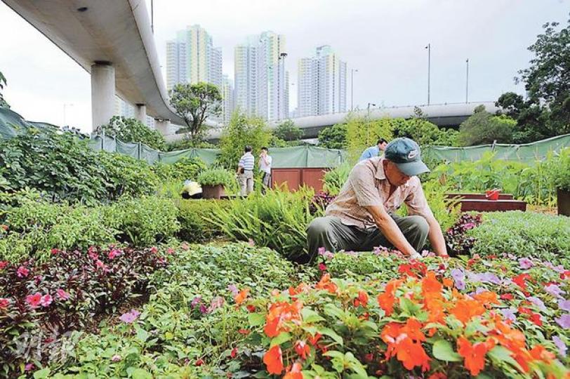 位處彩虹交通交匯處一角的「心靈綠洲」花園，種滿60多種植物，色香俱備，園藝治療助理會透過邀請患有認知障礙症（腦退化症，俗稱老人癡呆）或抑鬱症的人士參與種植或賞花，了解他們的問題與煩惱，從而介入輔導，改善他們的情况。（葉家豪攝）（明報製圖）