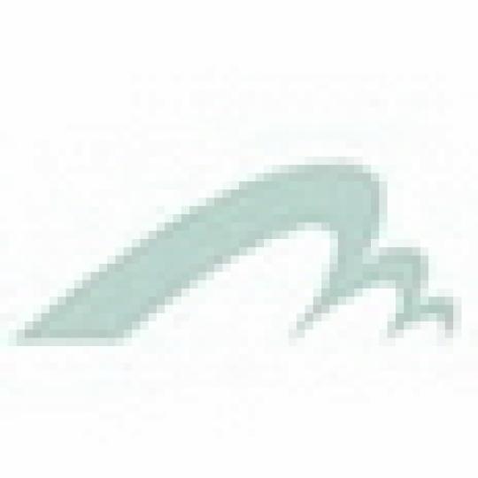 c57e1ef519ff187497e59f0b93cc30f4