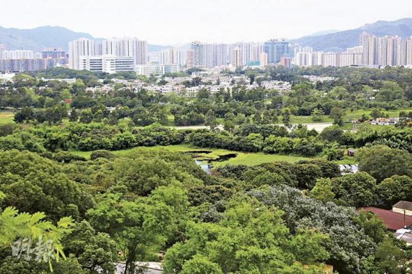 在德陽堂旁的小山崗上,可看到虎地坳的優美景色。(陳淑安攝)(陳淑安攝)(陳淑安攝) 在德陽堂旁的小山崗上,可看到虎地坳的優美景色。(陳淑安攝)(陳淑安攝)(陳淑安攝)