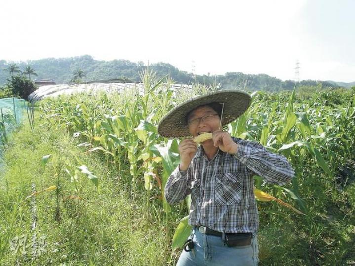 彩虹有機農莊的Eddy(陳嘉文攝)楊氏水產的Stephen(陳嘉文攝)永明農場的李亮其(陳嘉文攝)英明農場的尹先生說,他們的豬吃麵包、粟米、豆粉等,全是人都可以吃的東西,飼料健康無害。(陳嘉文攝) 彩虹有機農莊的Eddy(陳嘉文攝)楊氏水產的Stephen(陳嘉文攝)永明農場的李亮其(陳嘉文攝)英明農場的尹先生說,他們的豬吃麵包、粟米、豆粉等,全是人都可以吃的東西,飼料健康無害。(陳嘉文攝)