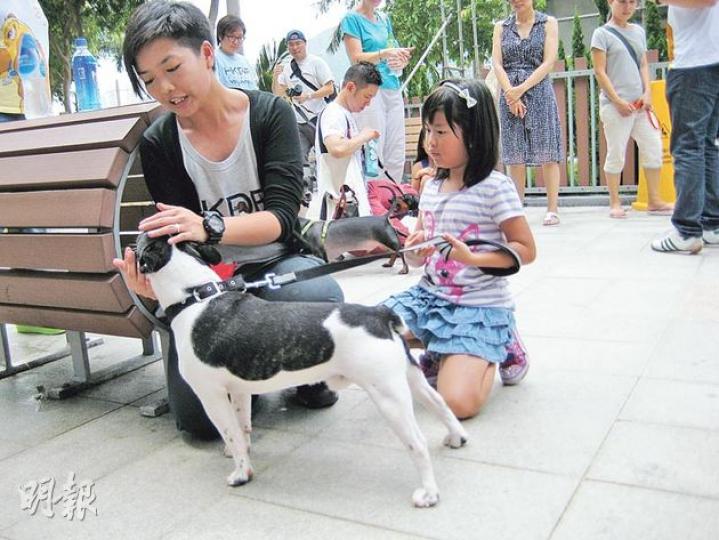 狗訓練員莫家瑩(前左)指出,觸摸陌生的狗前要先問准狗主,並要伸手讓狗聞一聞自己的氣味。(陳穎琦攝) 狗訓練員莫家瑩(前左)指出,觸摸陌生的狗前要先問准狗主,並要伸手讓狗聞一聞自己的氣味。(陳穎琦攝)