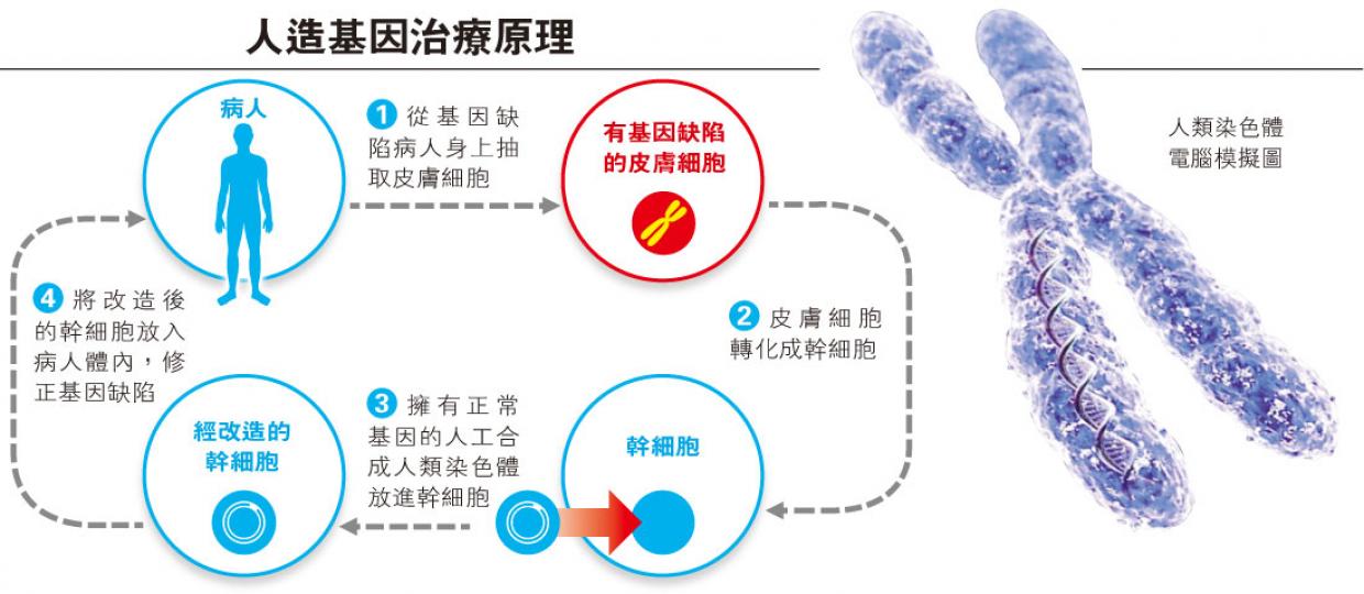 (明報製圖) (明報製圖)