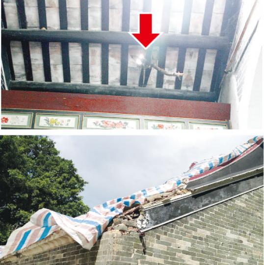 本報記者上周到訪楊侯宮時，發現廟宇屋頂被樹枝插入（上圖），屋面損毁部分僅蓋上帆布（下圖），但未有任何修繕工程。（黃俊鋒攝）位於洪水橋新發展區的楊侯宮，有200多年歷史，是區內兩幢法定古蹟之一，因被塌樹砸穿，正關閉並貼上維修告示。（黃俊鋒攝）