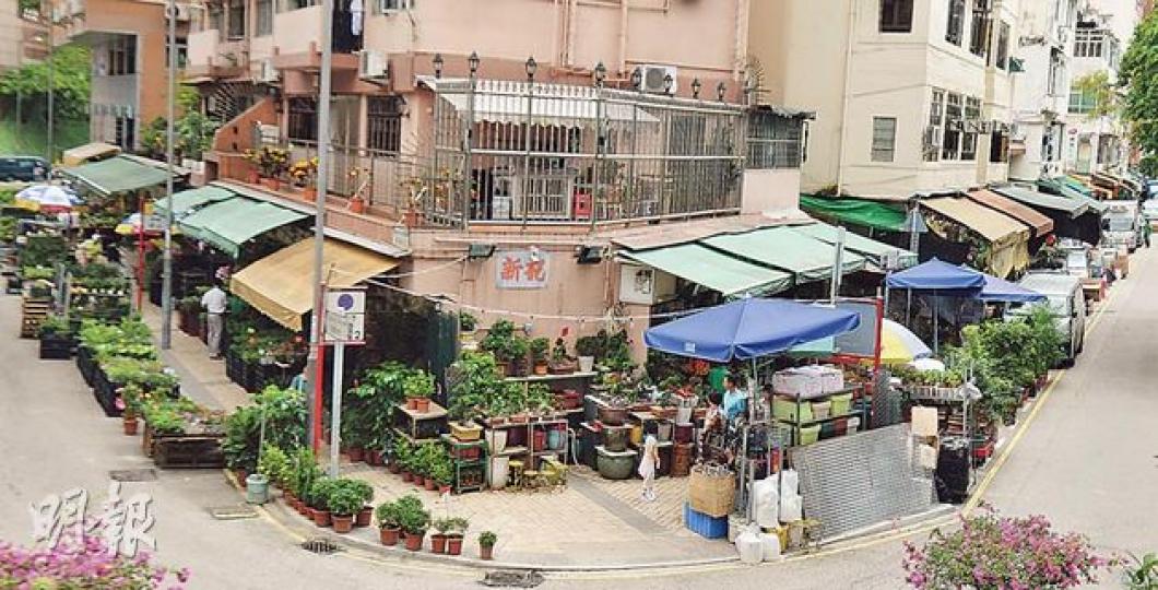 旺角花墟沿花墟道至園圃街一帶,幾乎所有花店都將盆栽及花卉擺放於店舖外,部分貨物更霸佔馬路。(劉焌陶攝) 旺角花墟沿花墟道至園圃街一帶,幾乎所有花店都將盆栽及花卉擺放於店舖外,部分貨物更霸佔馬路。(劉焌陶攝)