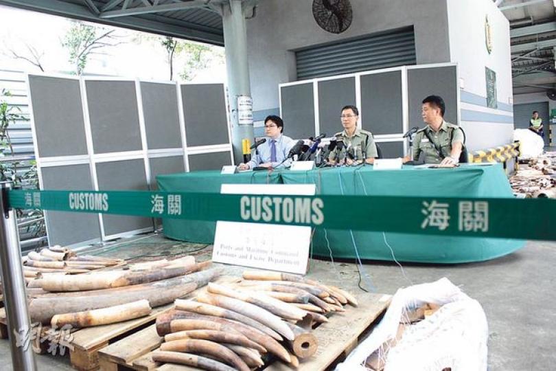 海關破獲過千萬元走私象牙,大部分為幼象象牙。(洪寶瑩攝) 海關破獲過千萬元走私象牙,大部分為幼象象牙。(洪寶瑩攝)