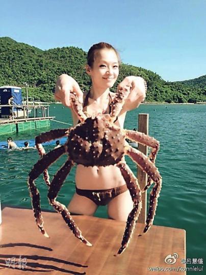 呂慧儀拿着「同鄉」長腳蟹及鮑魚拍照,非常興奮。(微博圖片)(微博圖片) 呂慧儀拿着「同鄉」長腳蟹及鮑魚拍照,非常興奮。(微博圖片)(微博圖片)