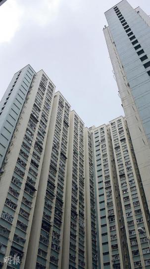 鴻記雞蛋仔（林茵攝）
