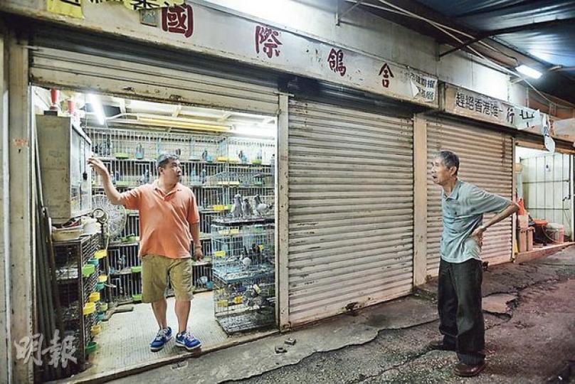 觀塘仁信里「國際鴿舍」是本港碩果僅存的賽鴿店,店主之一梁錦洪(左)表示,他和父親擁4舖,市建局卻以每戶作單位只賠109,240元,要求增加賠償,否則拒絕接受。(余俊亮攝) 觀塘仁信里「國際鴿舍」是本港碩果僅存的賽鴿店,店主之一梁錦洪(左)表示,他和父親擁4舖,市建局卻以每戶作單位只賠109,240元,要求增加賠償,否則拒絕接受。(余俊亮攝)